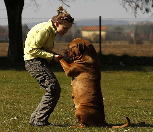 Two people and one dog